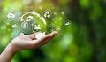 Bistum Fulda arbeitet an Klimaschutzkonzept